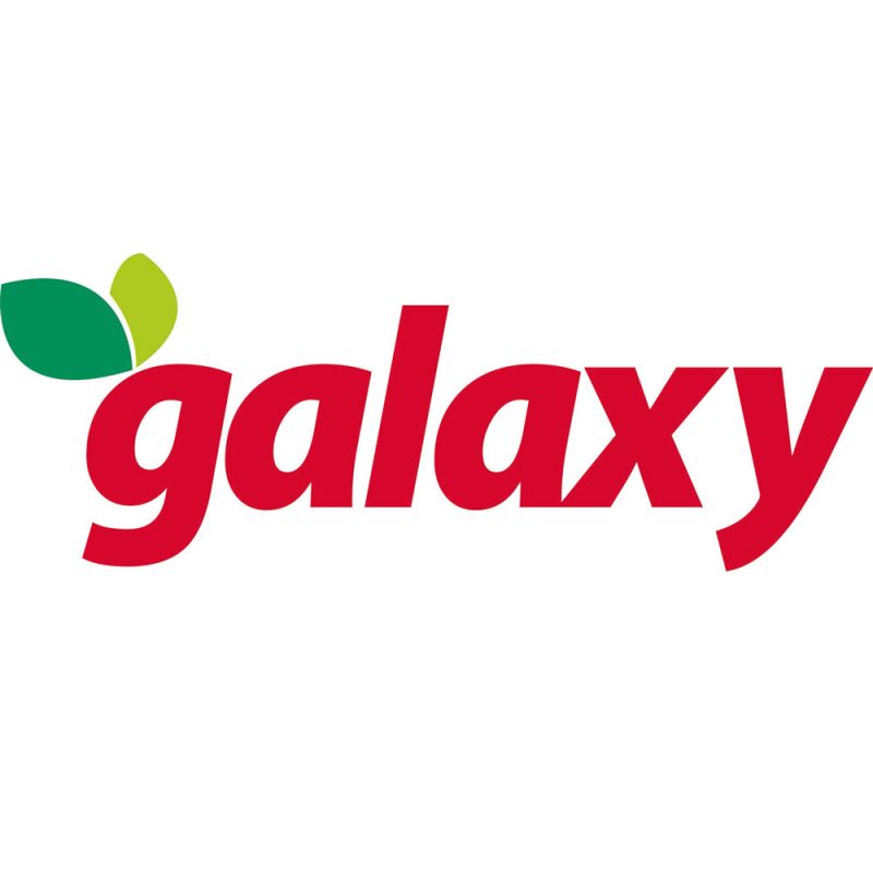 Logo_Galaxy_(1)_800x800